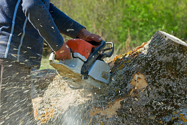 Soil Testing and Treatment in Mayer, AZ